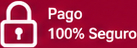 100% Secure payment